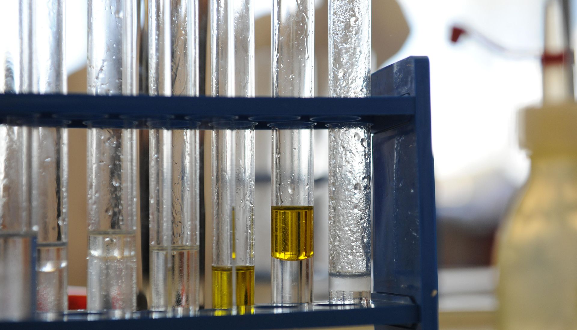 close up of test tubes with oil and water