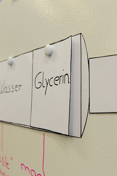 Reagenzgläser mit Eierschalstücken in Essig