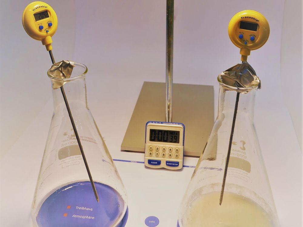 two Erlenmeyer flasks with digital thermometers under a lamp