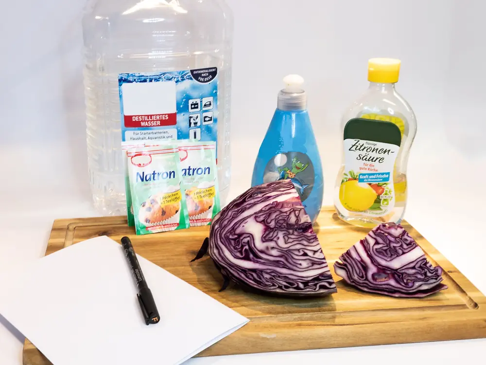 Destilliertes Wasser, Zitronensäureflasche und Rotkohl auf einem Holzbrett