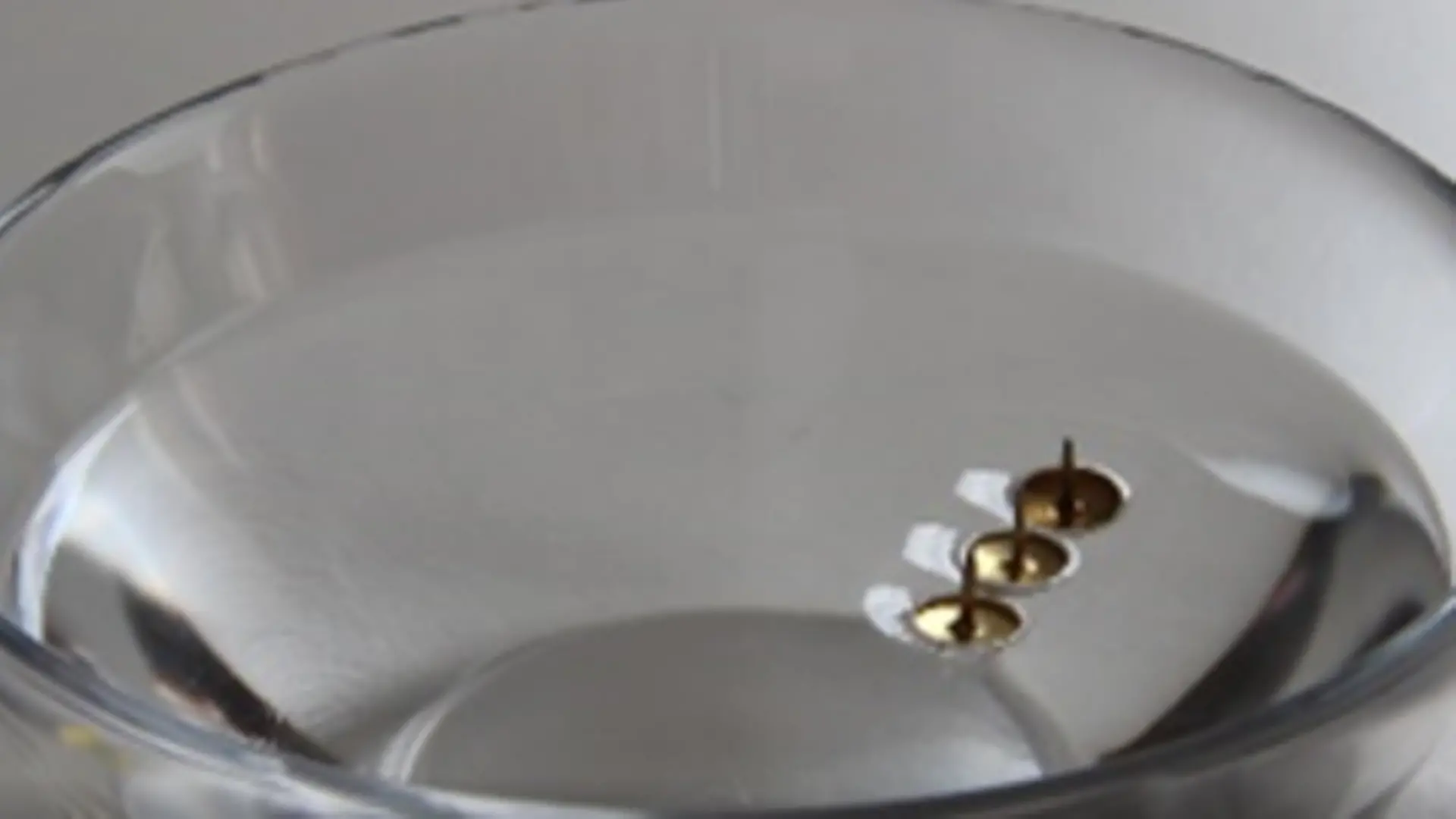 tres chinchetas flotando sobre el agua en un recipiente