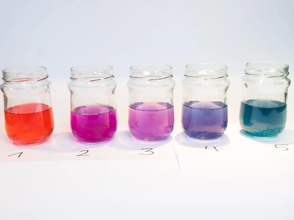 pięć szklanych słoików z różnymi kolorowymi płynami