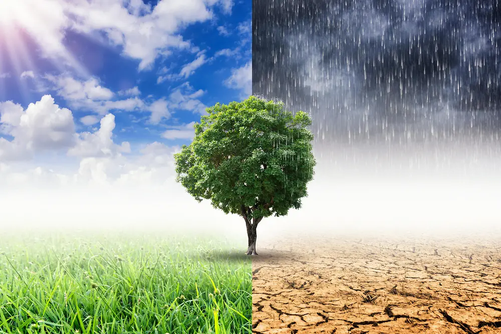 imagem simbolizando a mudança climática com árvore no meio