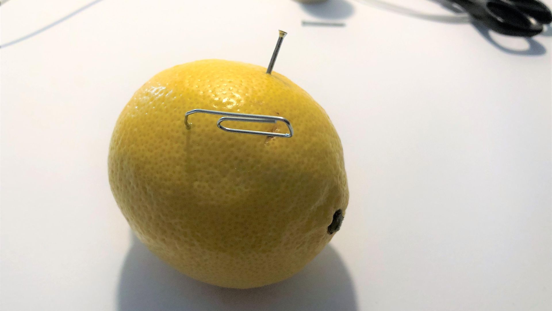 Zitrone mit Nagel und Büroklammer