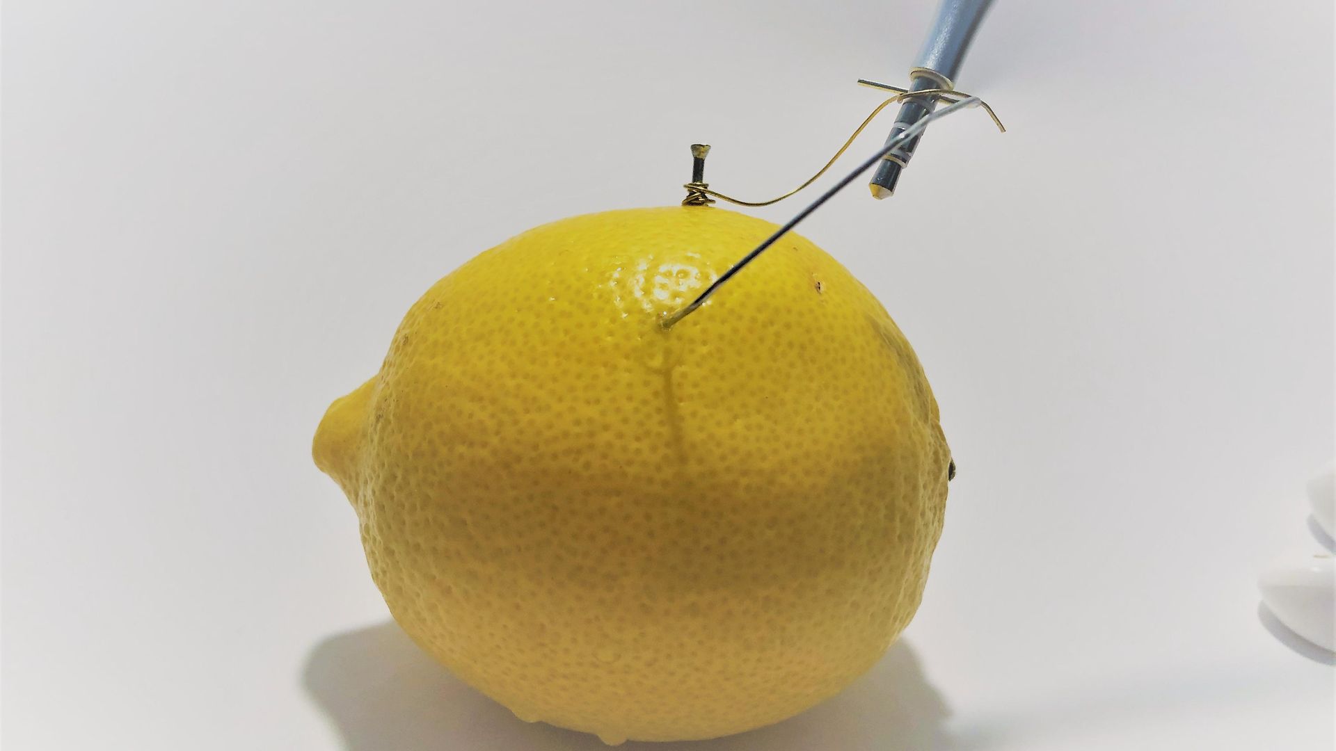 close up of lemon with wire sticking in 
