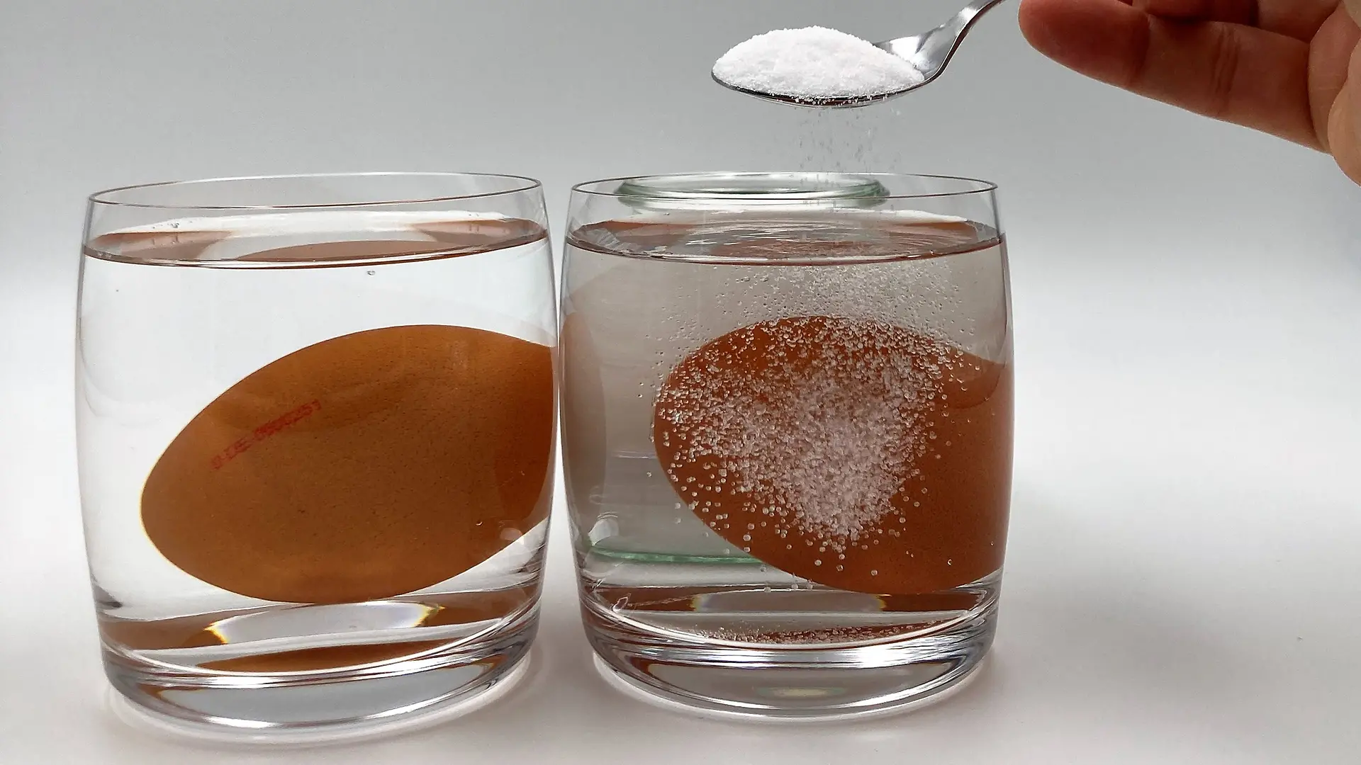 Two glasses, each filled with water and an egg. On the right side is a part of a hand holding a teaspoon with salt, which is placed in the right glass.