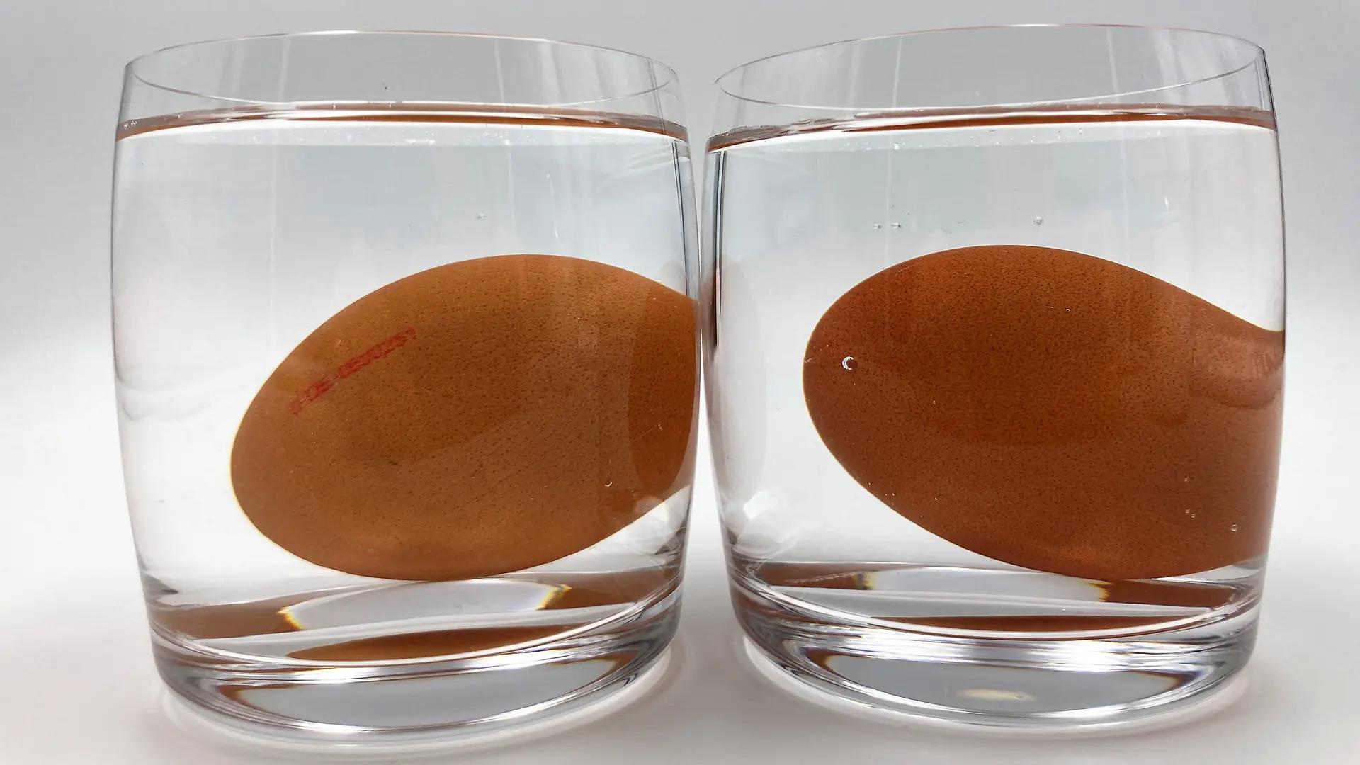 Zwei wassergefüllte Gläser mit jeweils einem Ei; die Eier liegen am Boden der Gläser.