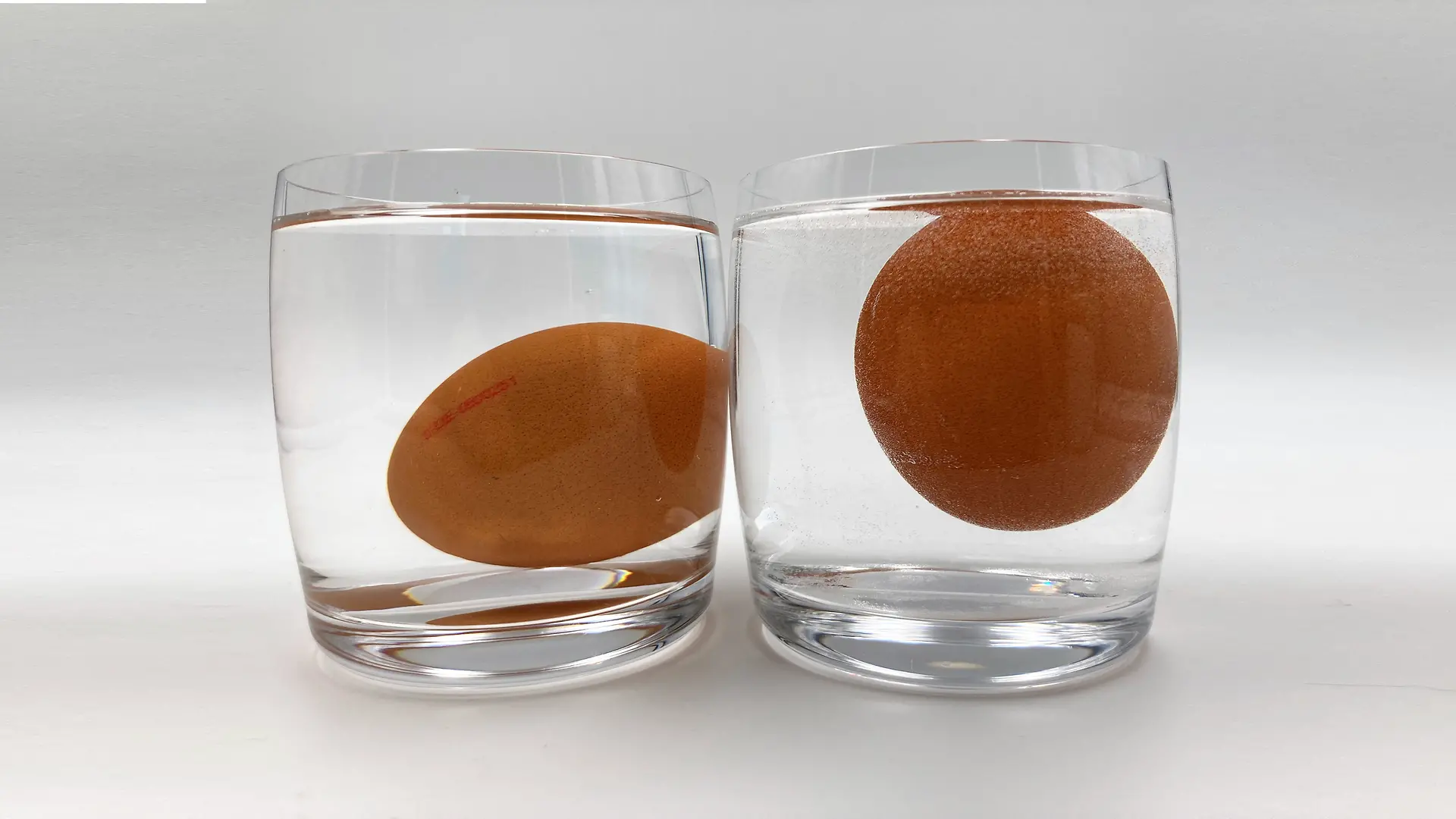 Dois copos cada um cheio de água e um ovo, um ovo flutua