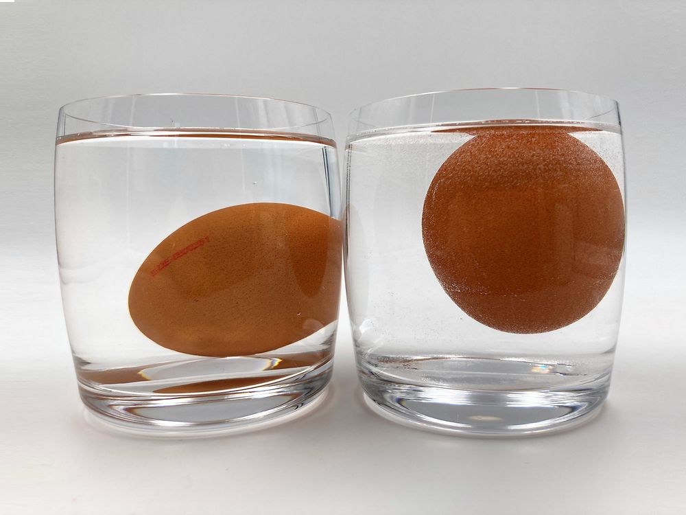 Two glasses each filled with water and an egg, one egg floats